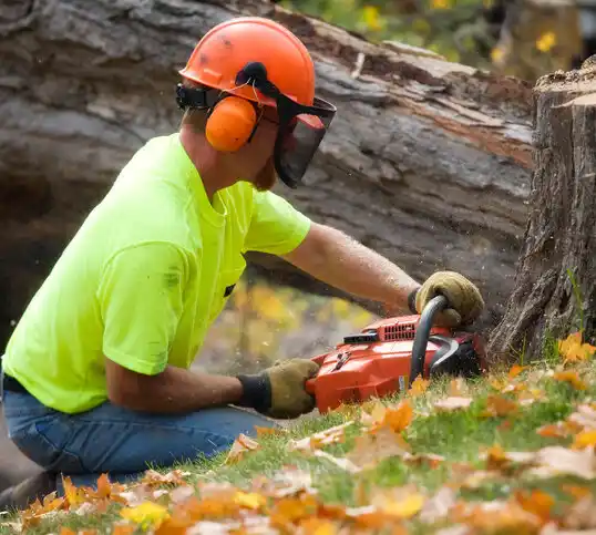 tree services Rosemount